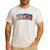 Teacher Filipino Vintage Heritage DNA Flag Men's Casual T-Shirt White Teacher Filipino Vintage Heritage DNA Flag Men's Casual T-Shirt White