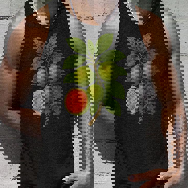 ヴィンテージ ボタニカル グアバ 自然 フルーツ アートプリント タンクトップ 彼への贈り物