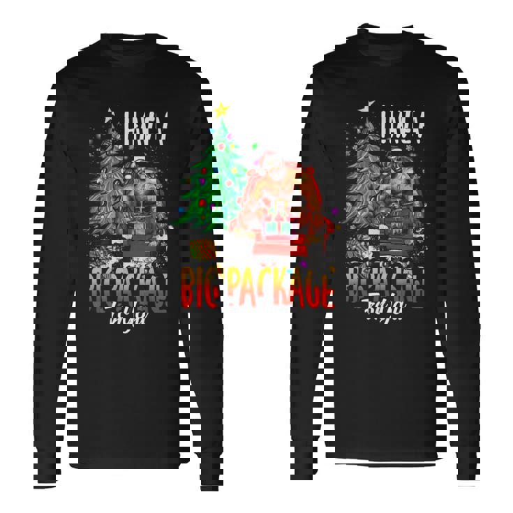 C'est Drôle J'ai Un Gros Colis Pour Toiilain Gros Gars Noir T-shirt à manches longues