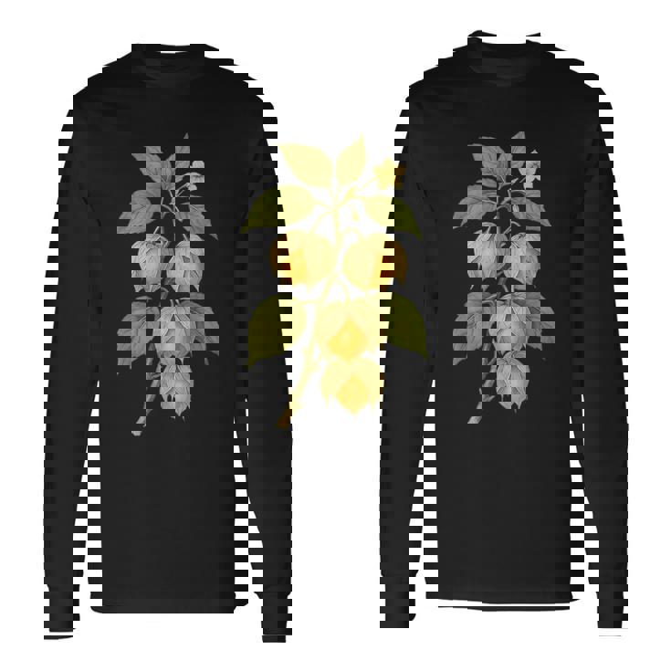 ヴィンテージ ボタニカル サイサリス 自然 フルーツ アートプリント 長袖Tシャツ