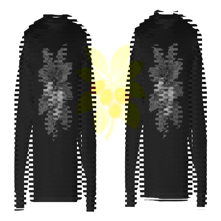 ヴィンテージ ボタニカル ビワ 自然 フルーツ アートプリント 長袖Tシャツ