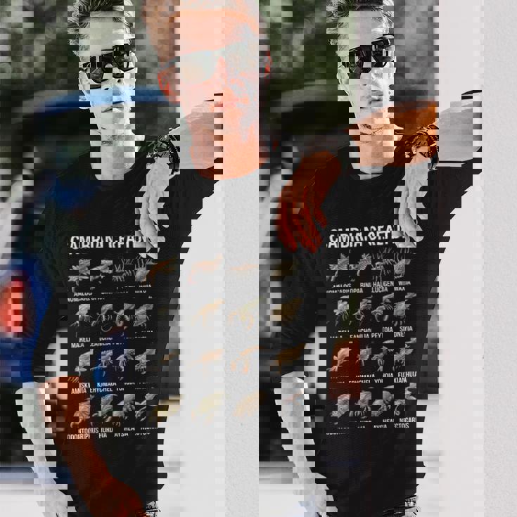 カンブリア紀の生き物チャート先史時代の生活古生物学 長袖Tシャツ 彼への贈り物