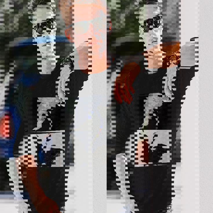 ヒルマ・アフ・クリント作「白鳥」1915年 長袖tシャツ 長袖Tシャツ 彼への贈り物