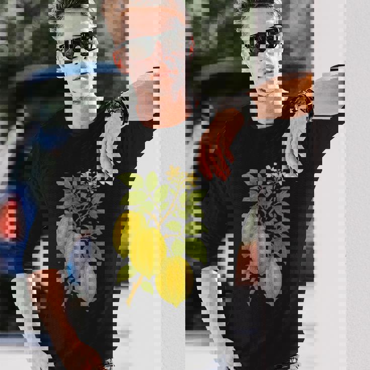 ビンテージ ボタニカル スターフルーツ 自然 アートプリント 長袖Tシャツ 彼への贈り物