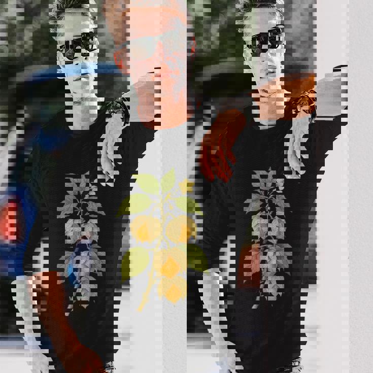 ヴィンテージ ボタニカル サイサリス 自然 フルーツ アートプリント 長袖Tシャツ 彼への贈り物