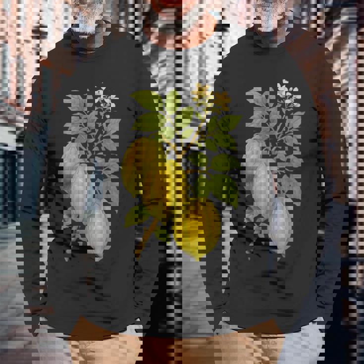 ビンテージ ボタニカル スターフルーツ 自然 アートプリント 長袖Tシャツ 高齢者への贈り物