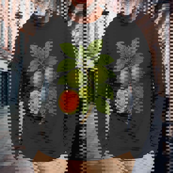 ヴィンテージ ボタニカル グアバ 自然 フルーツ アートプリント 長袖Tシャツ 高齢者への贈り物