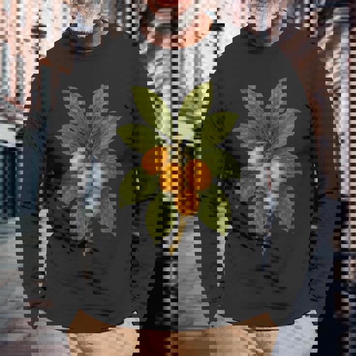 ヴィンテージ ボタニカル ビワ 自然 フルーツ アートプリント 長袖Tシャツ 高齢者への贈り物