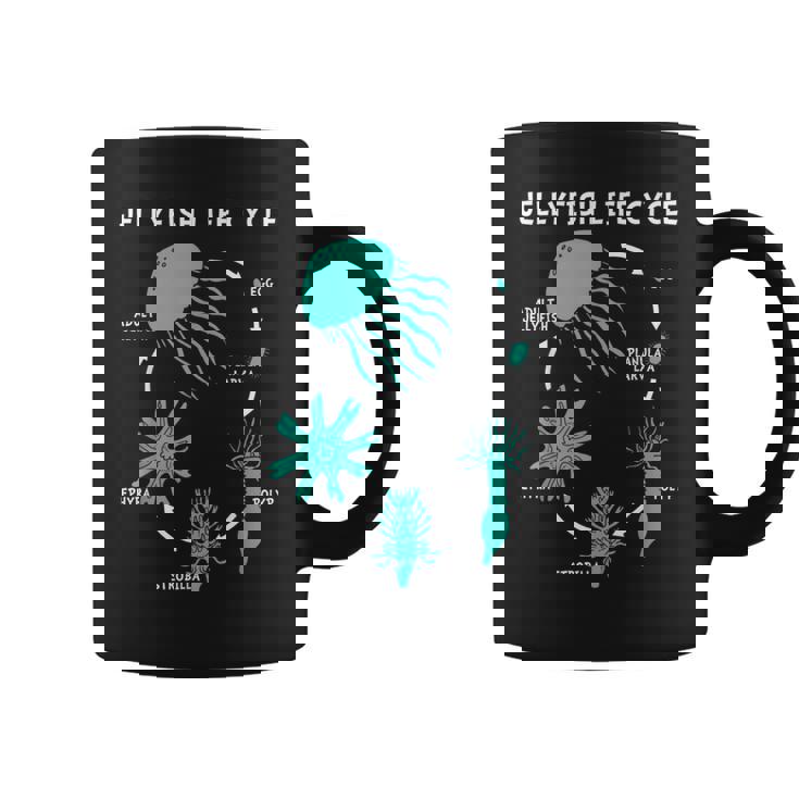 クラゲのライフサイクル コーヒーマグ