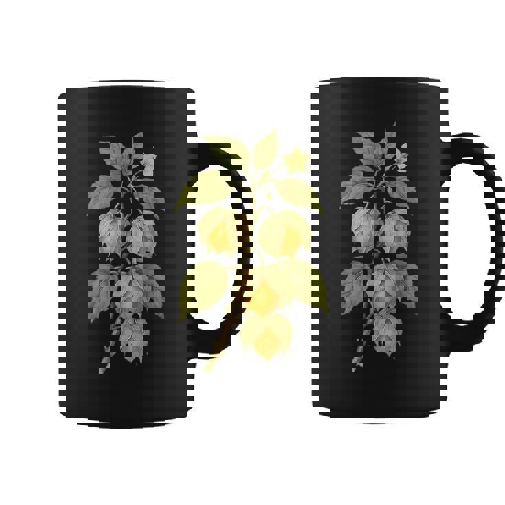 ヴィンテージ ボタニカル サイサリス 自然 フルーツ アートプリント コーヒーマグ