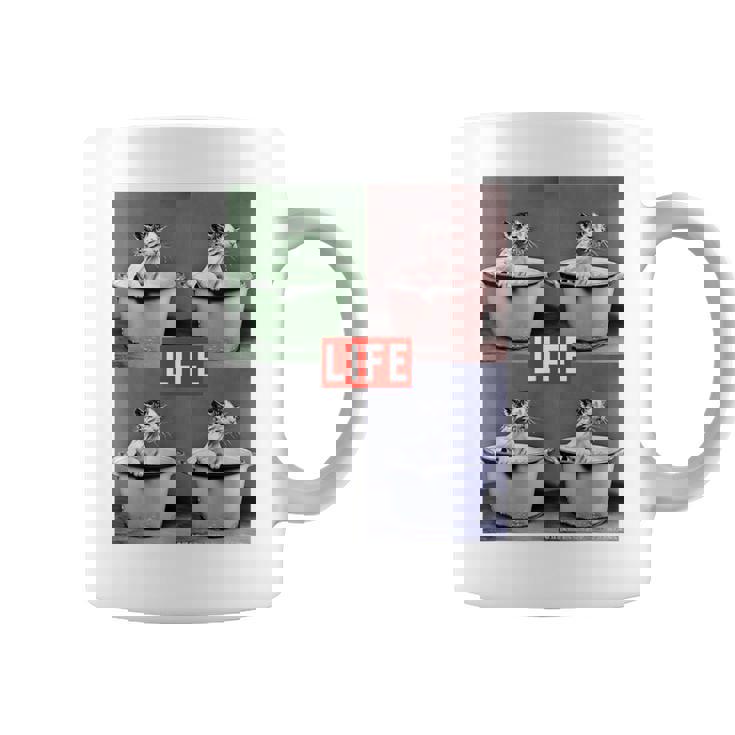 Life Picture Collection 猫（1） コーヒーマグ