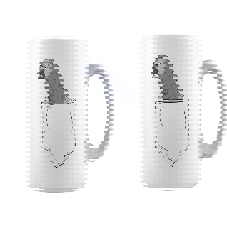 Oiseau Gris Du Gabon Dans Leac Tasse