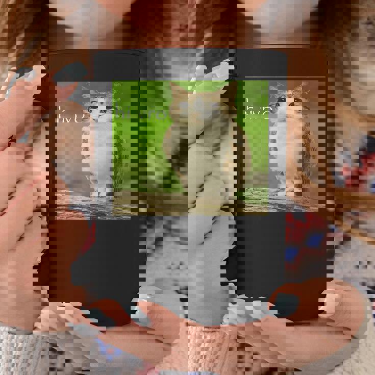 猫 フクロウ 面白い 呪われた Hello Bro Brainrot Meowl Hiro Meme コーヒーマグ 面白い贈り物