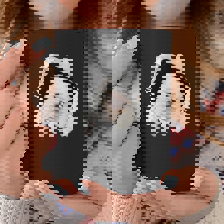 面白いtシャツ 犬 ポメラニアン イヌ わんこ メンズ 犬好き グッズ かわいい おもしろ 面白い 服 ネタ コーヒーマグ 面白い贈り物