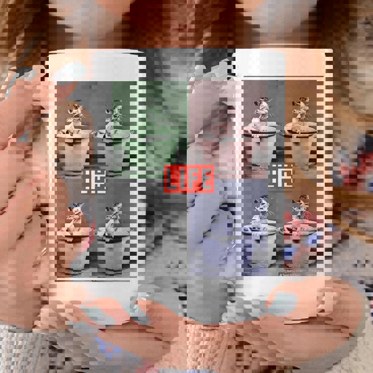 Life Picture Collection 猫（1） コーヒーマグ 面白い贈り物