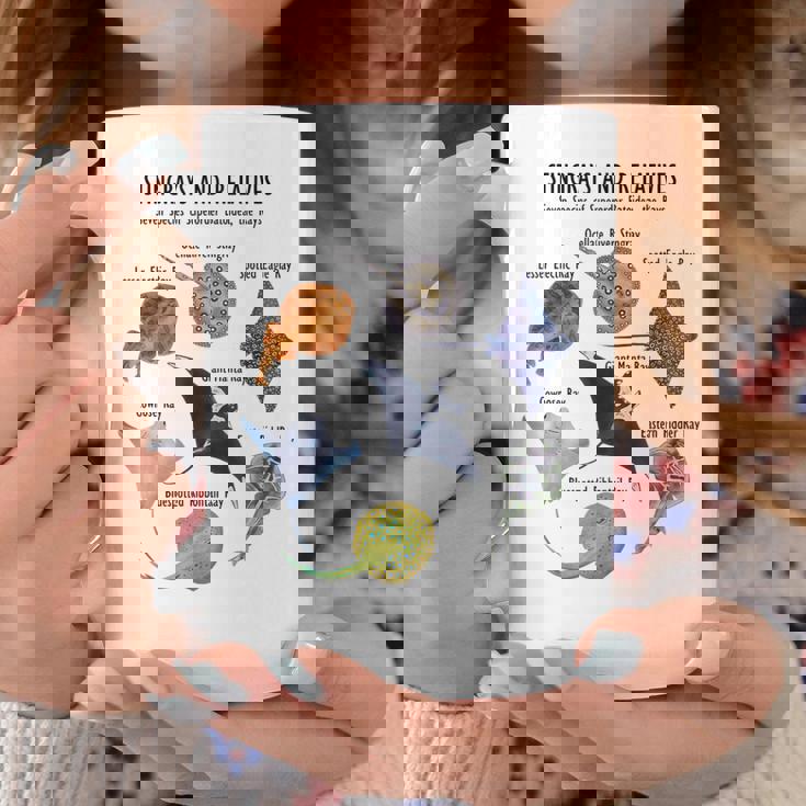 アカエイ種 コーヒーマグ 面白い贈り物