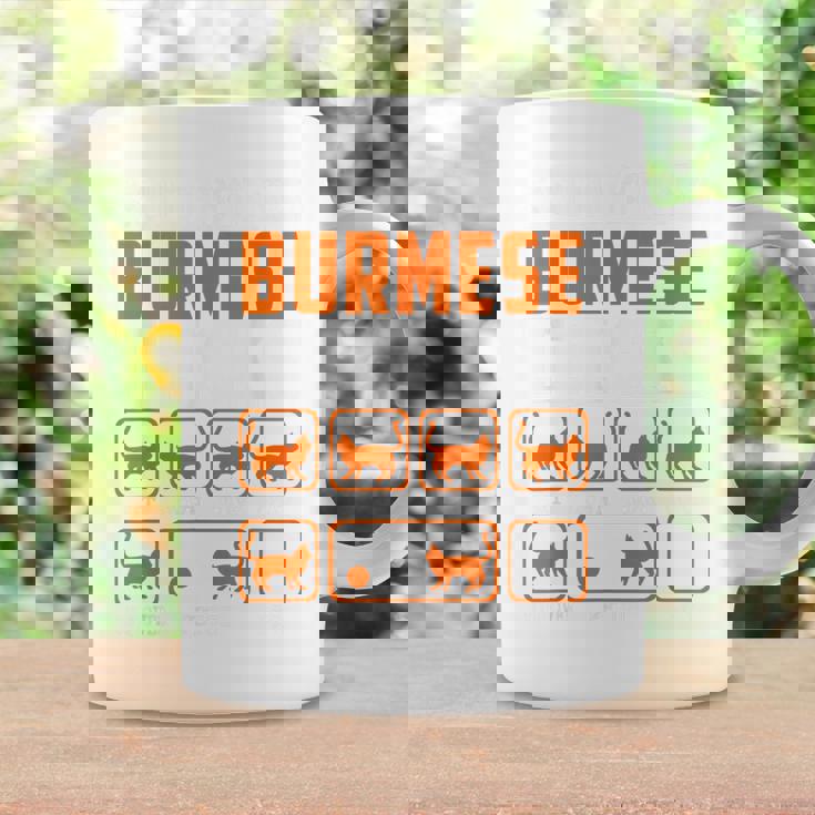 頑固なビルマの猫 トリックおもしろ子猫愛好家 コーヒーマグ ギフトのアイデア