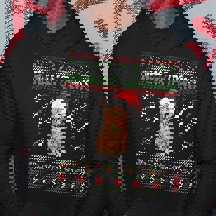 Weihnachten Mitüßer Katze Frohe Weihnachten Merry Catmas Kapuzenpullover Lustige Geschenke