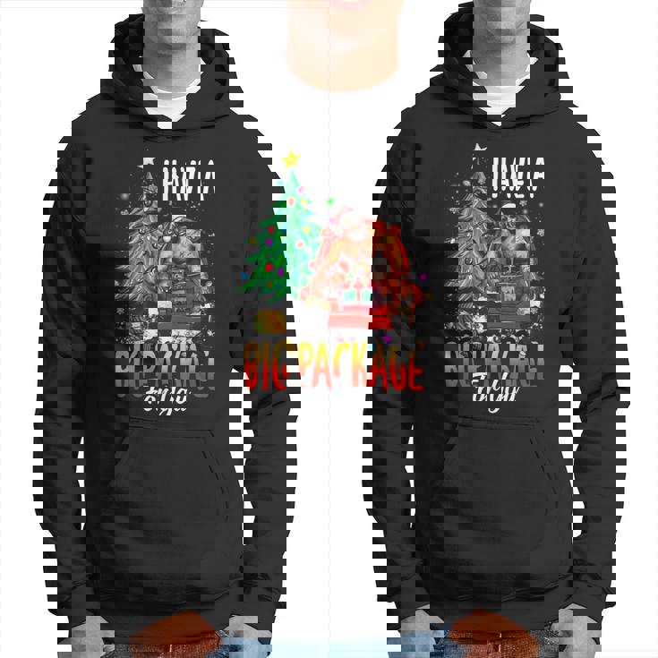 C'est Drôle J'ai Un Gros Colis Pour Toiilain Gros Gars Noir Sweat à capuche