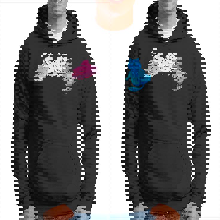 Des Chats Transgenres Endormis Aux Couleurs Transgenres Manche Longue Sweat à capuche