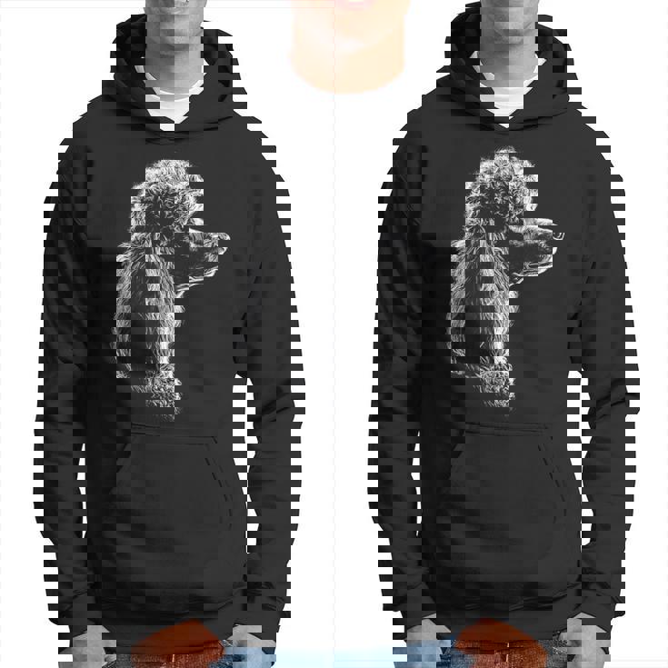 Diseño De Dibujo De Perro Caniche Ilustración Sudadera