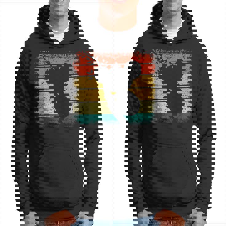 Koala Australien Retrointage Australia Day Sweat à capuche