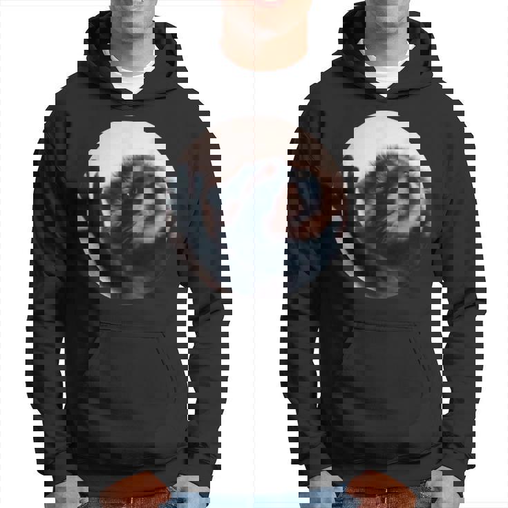 Meme Pedro Racoon Sweat à capuche