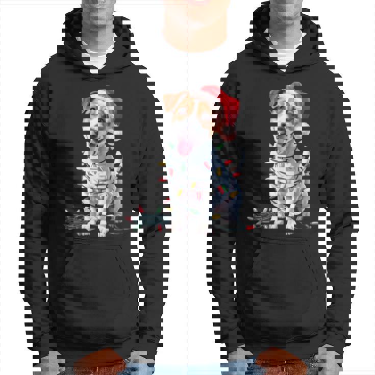 Mignon Chien Jack Russell Lumières De Noël Noël Amoureux Des Manche Longue Sweat à capuche