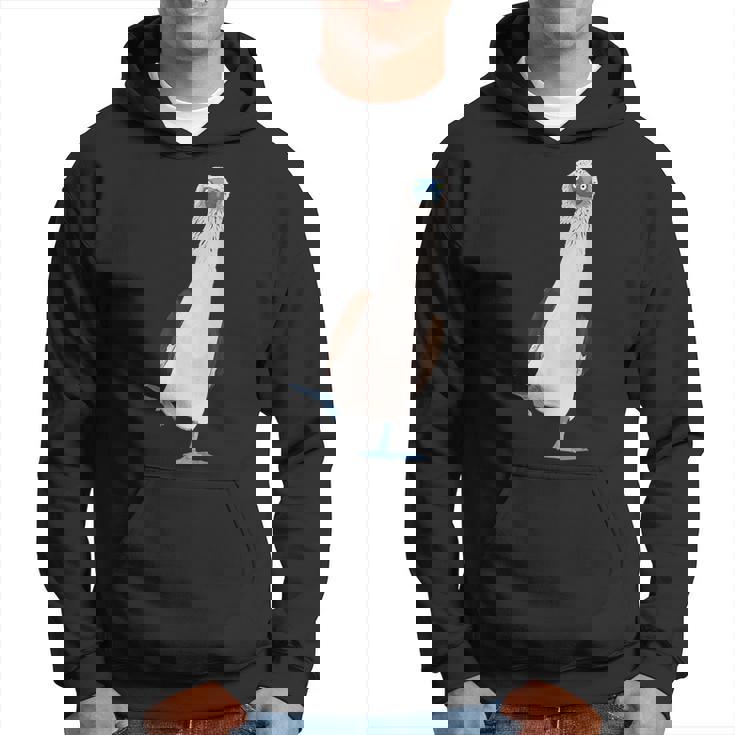 Piquero De Patas Azules Sudadera