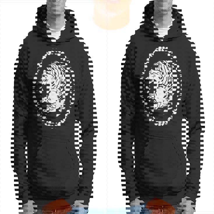 Simorgh Le Phoenixymbole De La Persie Ancienne Sweat à capuche