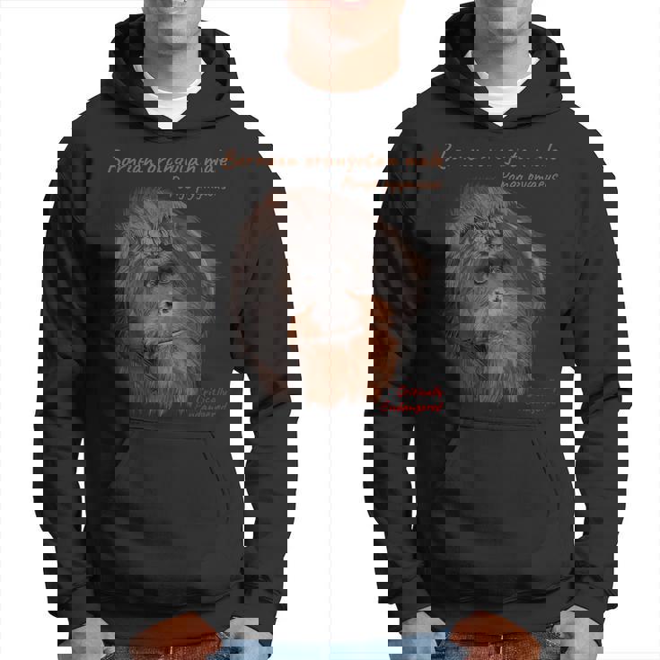 Tête D'orang-Outan Bornéen Mâle Sweat à capuche