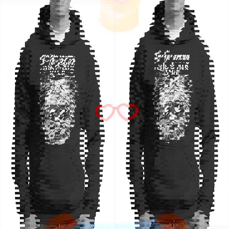 Yorkshire Terrier Edición Deanalentín Sudadera