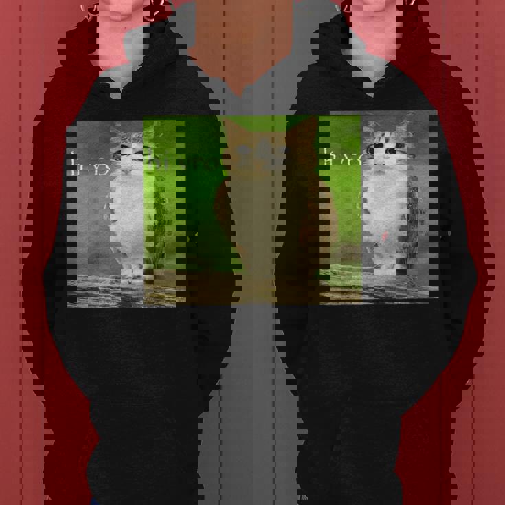 猫 フクロウ 面白い 呪われた Hello Bro Brainrot Meowl Hiro Meme レディースパーカー