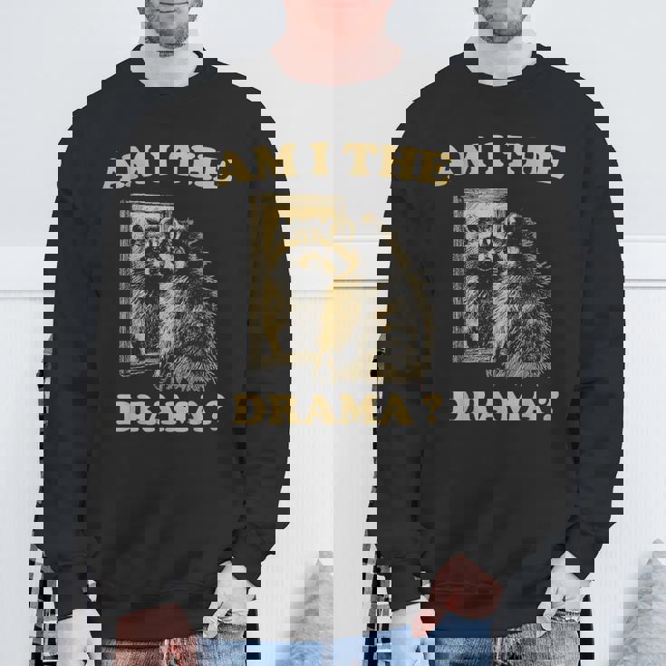 Am I The Drama Raccoon Unhinged Meme 陽気なアライグマのミーム スウェットシャツ 高齢者への贈り物