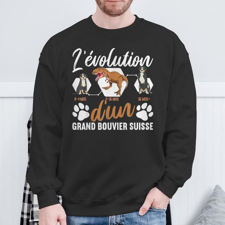 L'évolution D'un Grand Bouvieruisse Sweater e Cadeaux pour les vieillards
