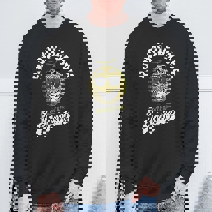 カンタロープ 素晴らしい農家 スイートメロン フルーツ愛好家 プランター スウェットシャツ 高齢者への贈り物