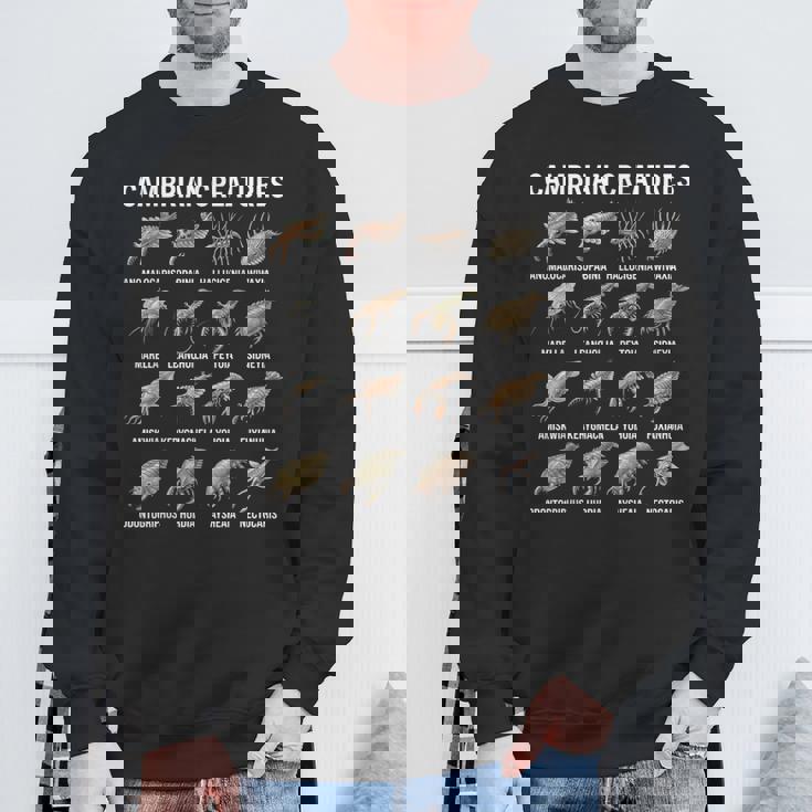 カンブリア紀の生き物チャート先史時代の生活古生物学 スウェットシャツ 高齢者への贈り物