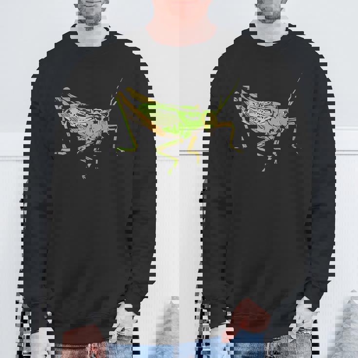 キリギリス アート デザイン イラスト イナゴ キリギリス スウェットシャツ 高齢者への贈り物