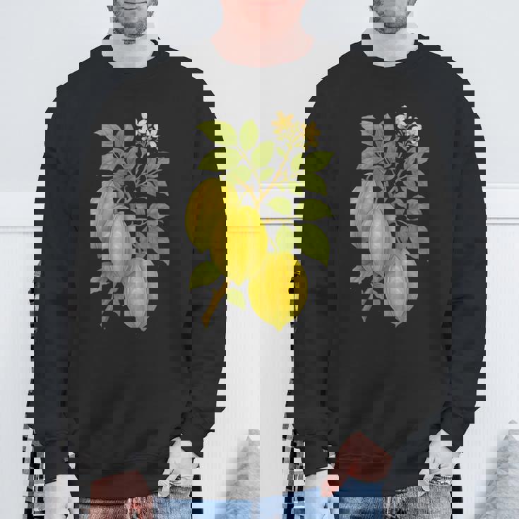 ビンテージ ボタニカル スターフルーツ 自然 アートプリント スウェットシャツ 高齢者への贈り物