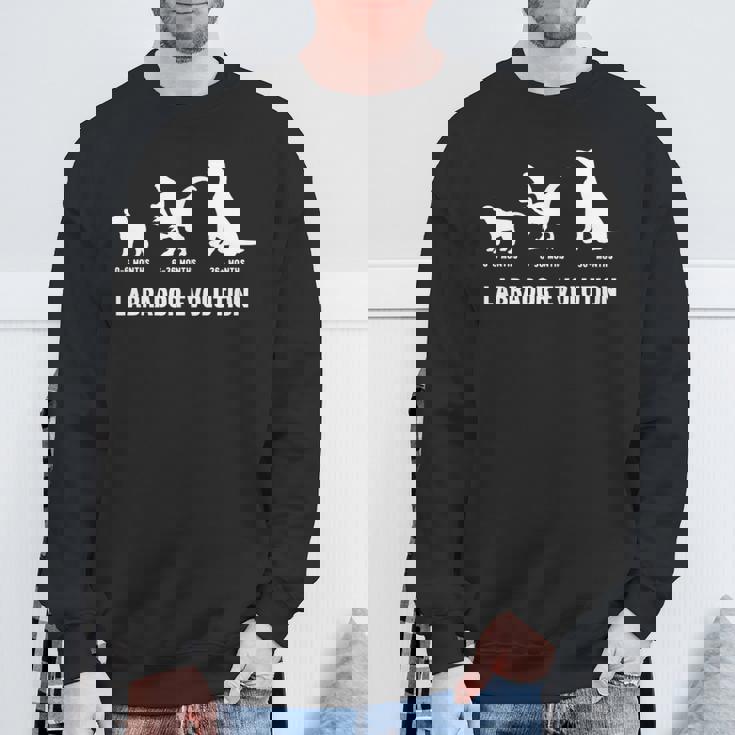 ラブラドールレトリバー エボリューションデザイン ラブラドールオーナー向け 長袖tシャツ スウェットシャツ 高齢者への贈り物