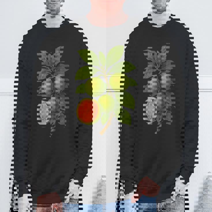 ヴィンテージ ボタニカル グアバ 自然 フルーツ アートプリント スウェットシャツ 高齢者への贈り物