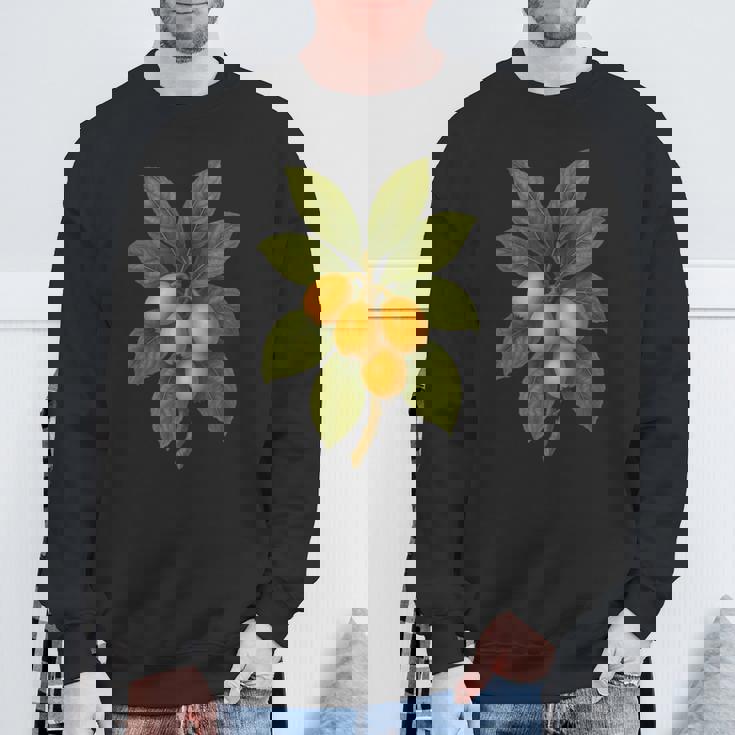 ヴィンテージ ボタニカル ビワ 自然 フルーツ アートプリント スウェットシャツ 高齢者への贈り物