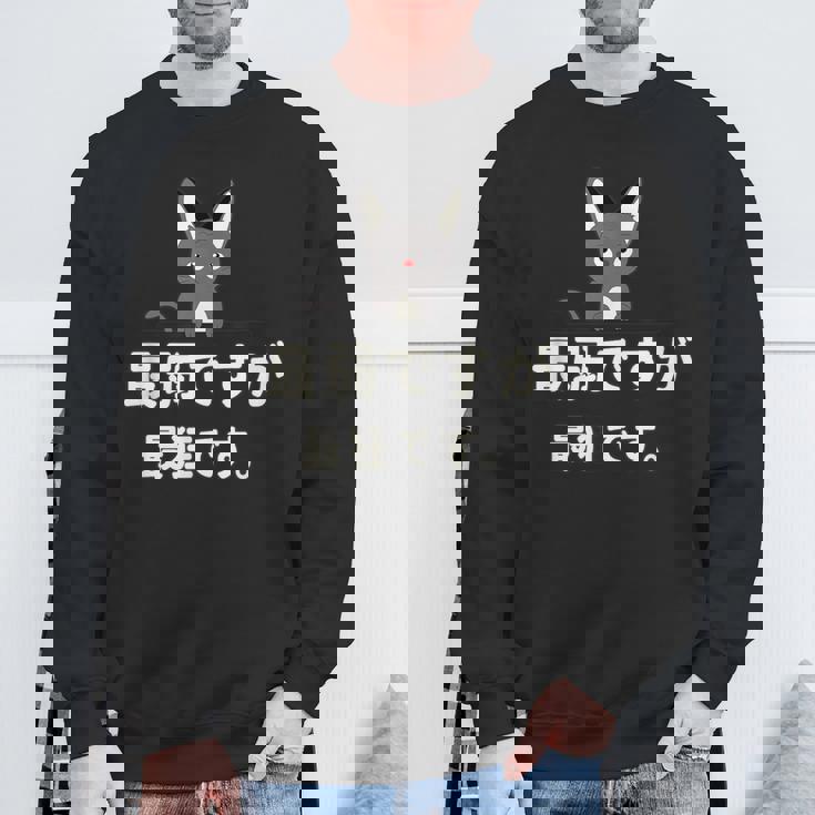 面白い 猫 文字入り 「最弱ですが最狂です。」おもしろギャグ-ジョーク 漢字 最弱ですが最狂です。 スウェットシャツ 高齢者への贈り物