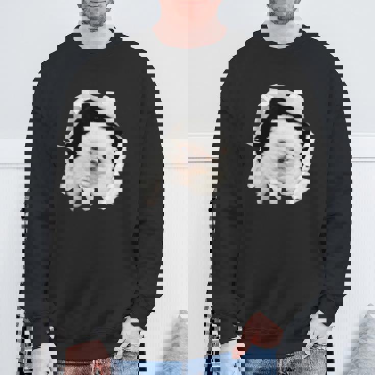 面白いtシャツ 犬 ポメラニアン イヌ わんこ メンズ 犬好き グッズ かわいい おもしろ 面白い 服 ネタ スウェットシャツ 高齢者への贈り物