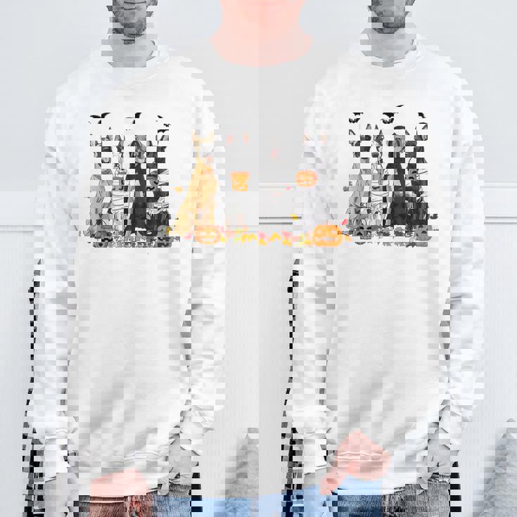 Cute Great Dane Dogs Ghost Witch Mummy Halloween Pumpkins Sweatshirt Gifts for Old Men