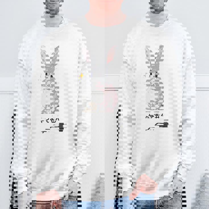 やってませんうさぎ 「I Didn't Do It」 いたずらウサギ 電源コード 面白いデザイン 黒文字 スウェットシャツ 高齢者への贈り物