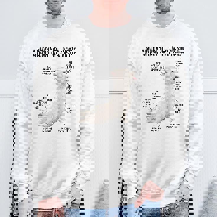 ウエスト・ハイランド・ホワイト・テリア犬の子犬ウェスティの解剖学 スウェットシャツ 高齢者への贈り物