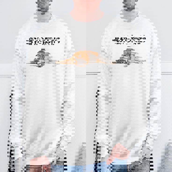 明日から本気出す ・ビーグルス ビーグル犬 面白い ビーグル愛好家に ビーグルののんびりデザイン スウェットシャツ 高齢者への贈り物