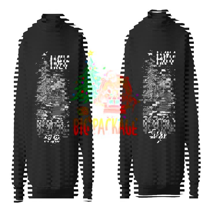 C'est Drôle J'ai Un Gros Colis Pour Toiilain Gros Gars Noir Sweater e