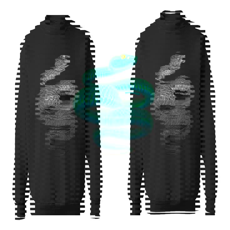 Davidsfeed Sweater e